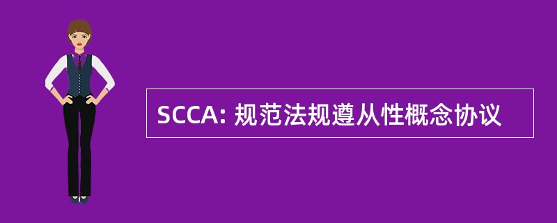 SCCA: 规范法规遵从性概念协议