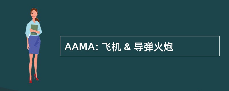 AAMA: 飞机 & 导弹火炮