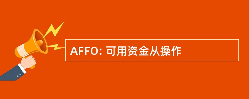 AFFO: 可用资金从操作