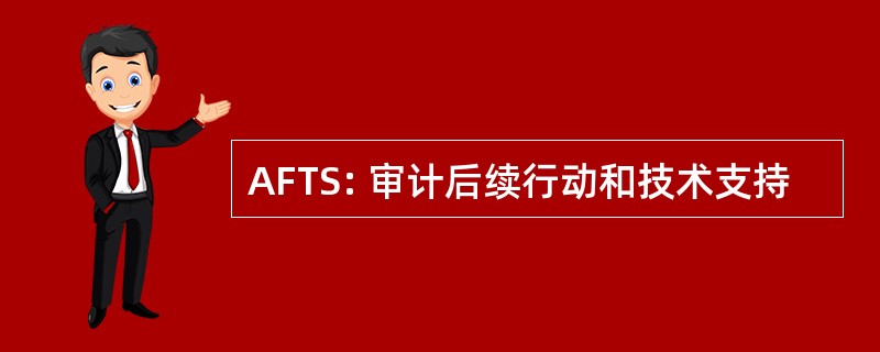 AFTS: 审计后续行动和技术支持