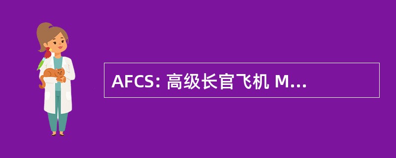 AFCS: 高级长官飞机 Maintenanceman