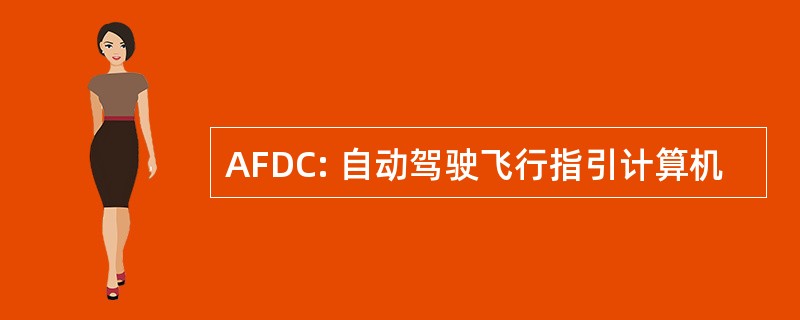 AFDC: 自动驾驶飞行指引计算机