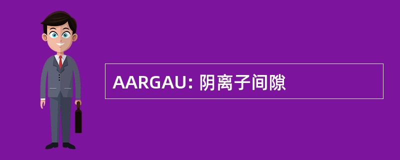 AARGAU: 阴离子间隙