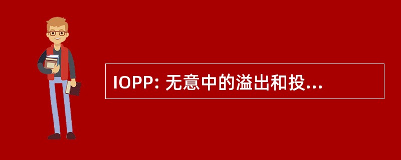 IOPP: 无意中的溢出和投资回收期政策