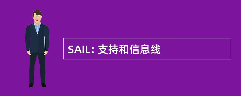 SAIL: 支持和信息线