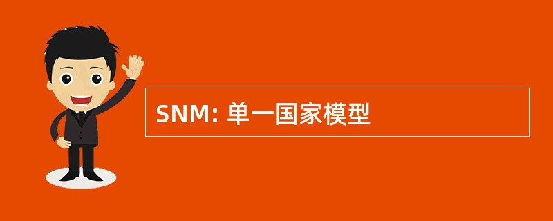 SNM: 单一国家模型