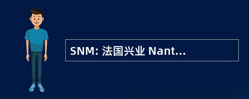 SNM: 法国兴业 Nantaise de 搬运