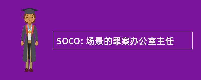 SOCO: 场景的罪案办公室主任