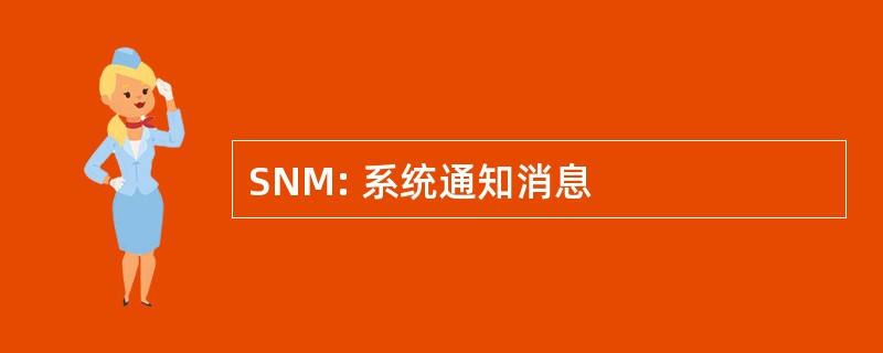 SNM: 系统通知消息