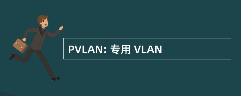 PVLAN: 专用 VLAN