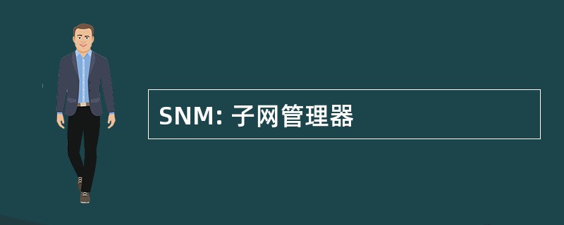 SNM: 子网管理器