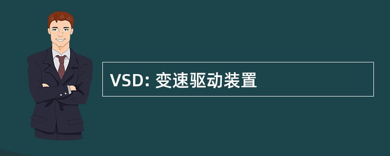 VSD: 变速驱动装置