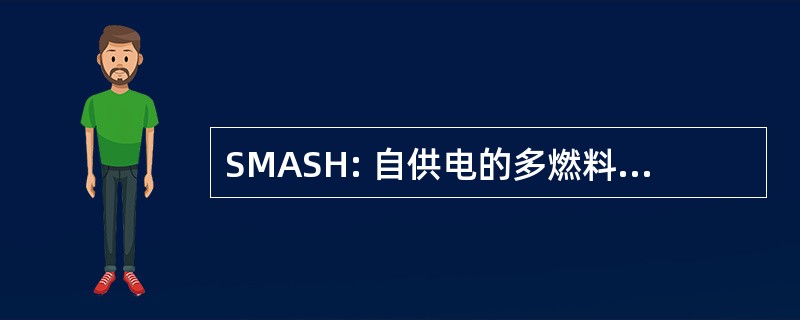 SMASH: 自供电的多燃料军队的空间加热器