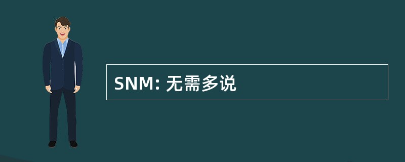 SNM: 无需多说