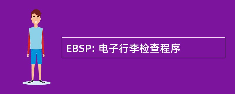 EBSP: 电子行李检查程序