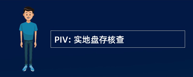 PIV: 实地盘存核查