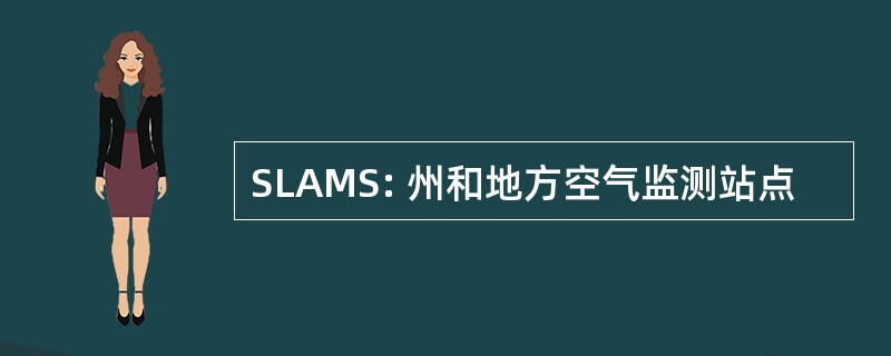 SLAMS: 州和地方空气监测站点