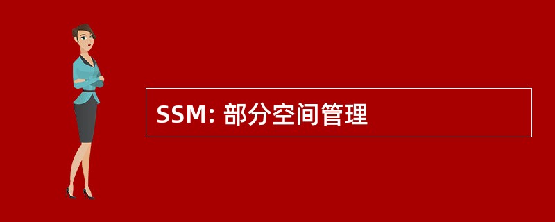 SSM: 部分空间管理