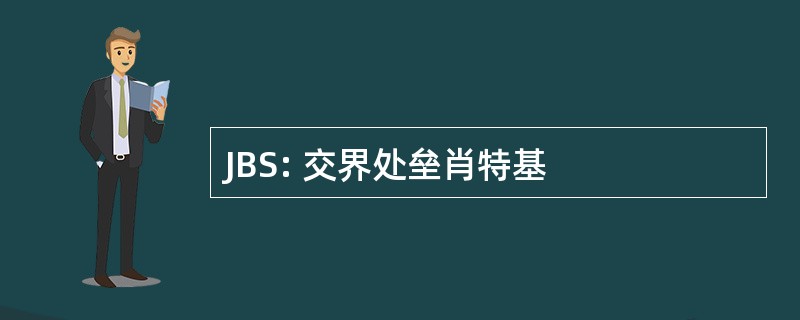 JBS: 交界处垒肖特基