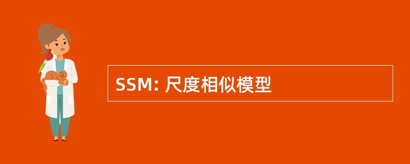 SSM: 尺度相似模型