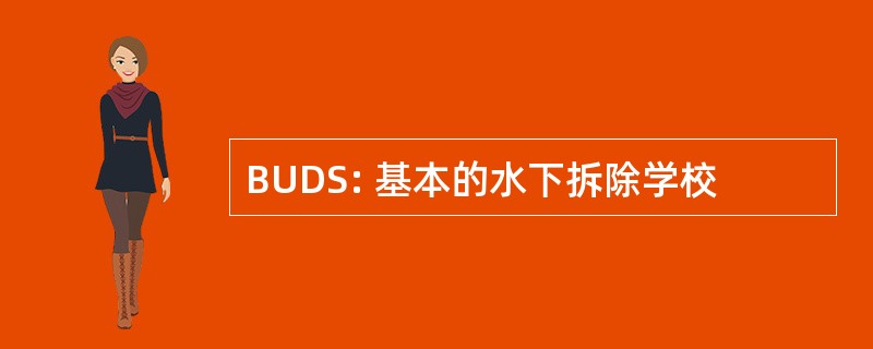 BUDS: 基本的水下拆除学校