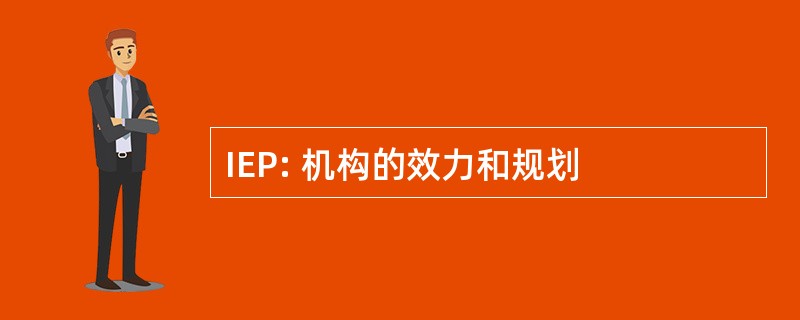 IEP: 机构的效力和规划