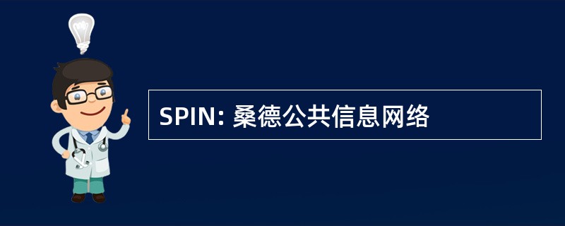 SPIN: 桑德公共信息网络