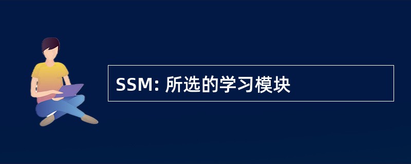 SSM: 所选的学习模块