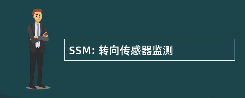 SSM: 转向传感器监测