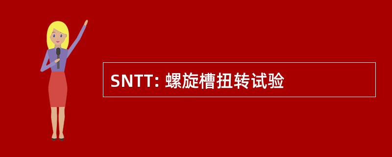 SNTT: 螺旋槽扭转试验