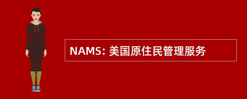 NAMS: 美国原住民管理服务