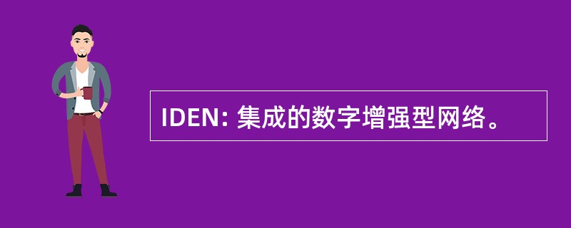 IDEN: 集成的数字增强型网络。