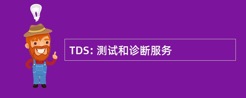 TDS: 测试和诊断服务