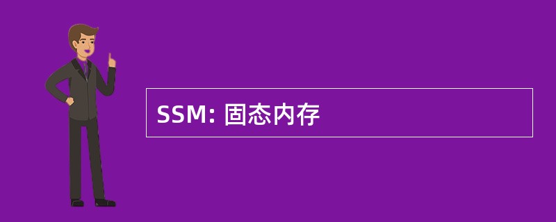 SSM: 固态内存