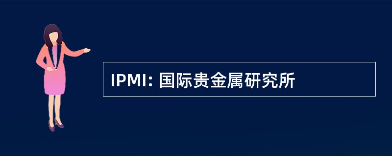 IPMI: 国际贵金属研究所