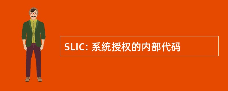 SLIC: 系统授权的内部代码