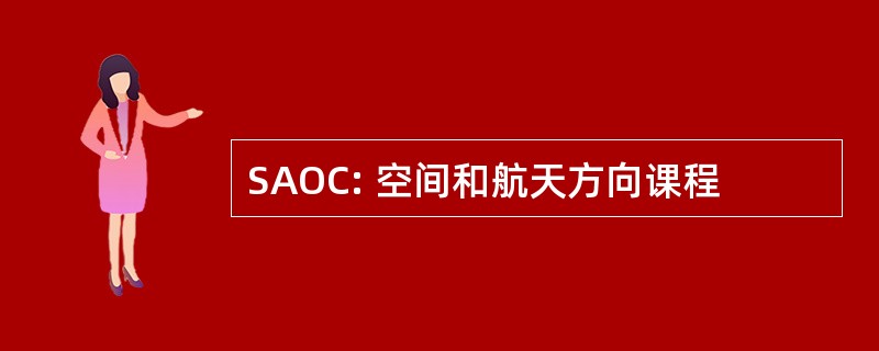 SAOC: 空间和航天方向课程