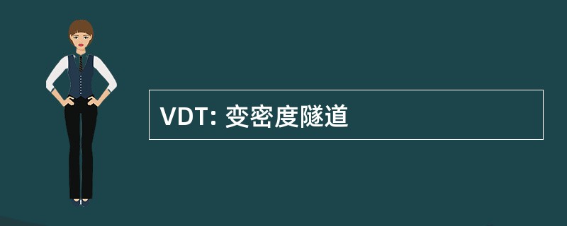 VDT: 变密度隧道