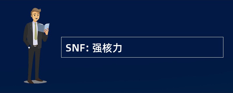 SNF: 强核力