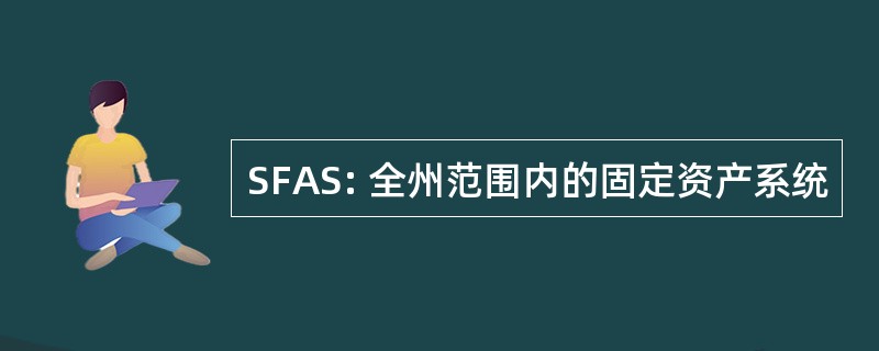 SFAS: 全州范围内的固定资产系统