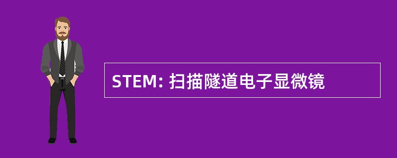 STEM: 扫描隧道电子显微镜