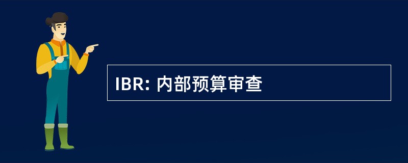 IBR: 内部预算审查