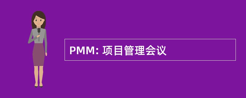 PMM: 项目管理会议