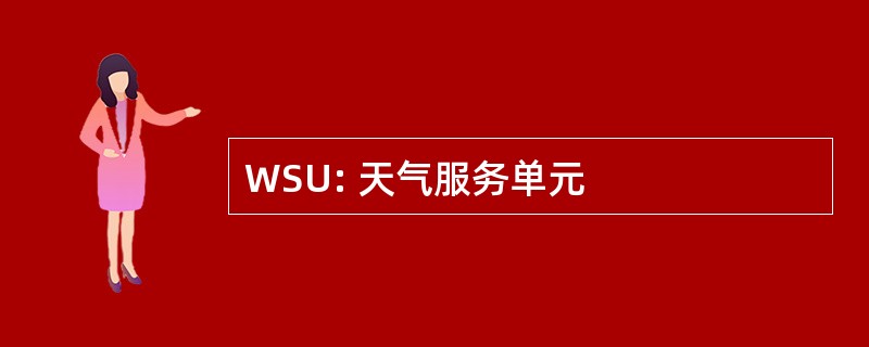 WSU: 天气服务单元