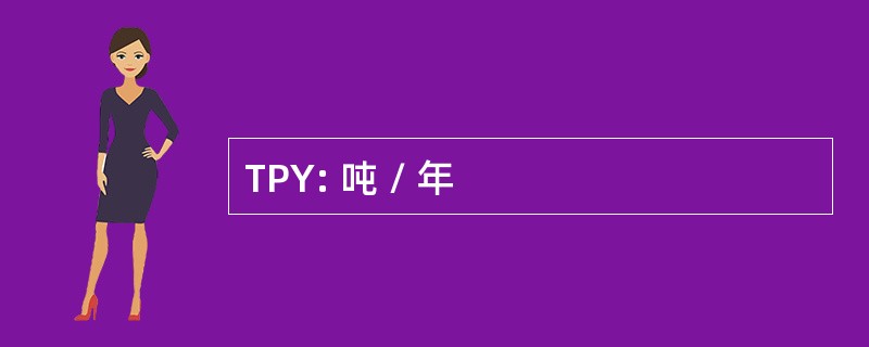 TPY: 吨 / 年