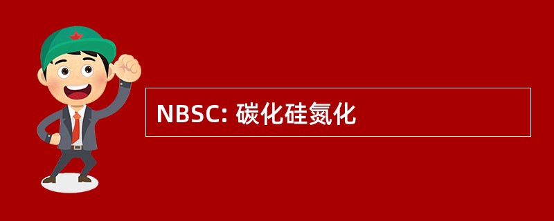 NBSC: 碳化硅氮化