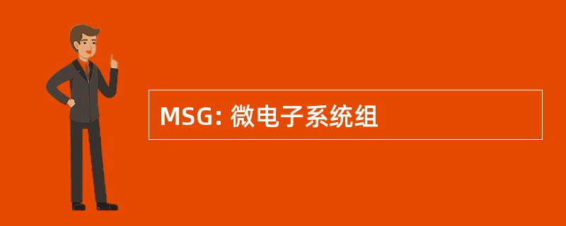 MSG: 微电子系统组