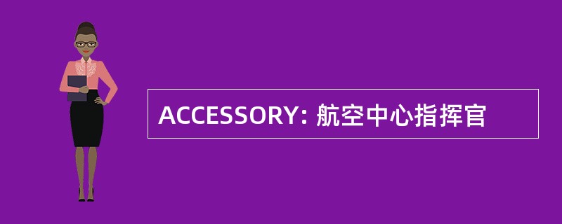 ACCESSORY: 航空中心指挥官