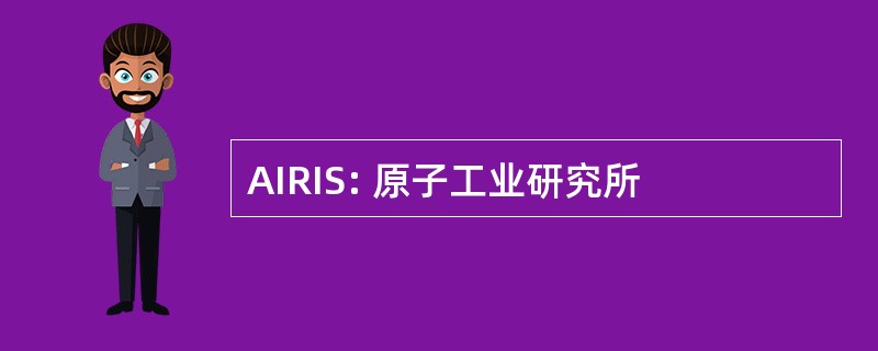 AIRIS: 原子工业研究所