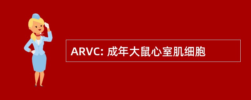 ARVC: 成年大鼠心室肌细胞